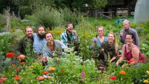 Das Team der Alpinen Permakultur Schweibenalp in einer wundschön Blühenden Blumenwiese